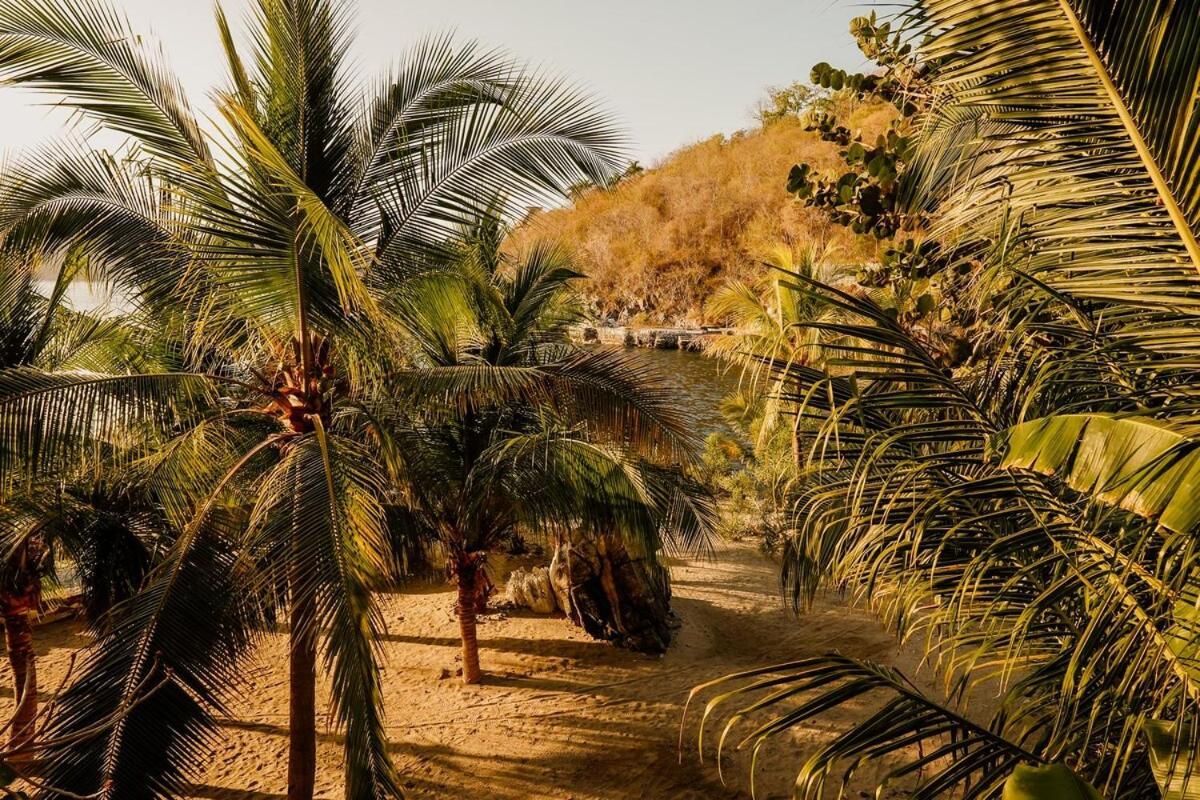 Dream Villa With Private Beach And Catering Zihuatanejo Bagian luar foto